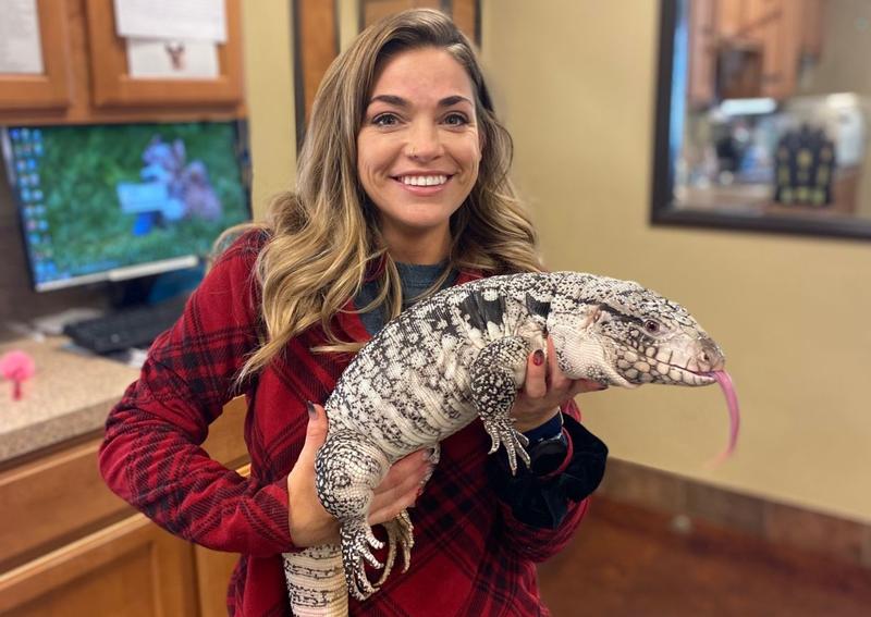 Stonebridge Veterinary Hospital Rockwall Veterinary Hospital